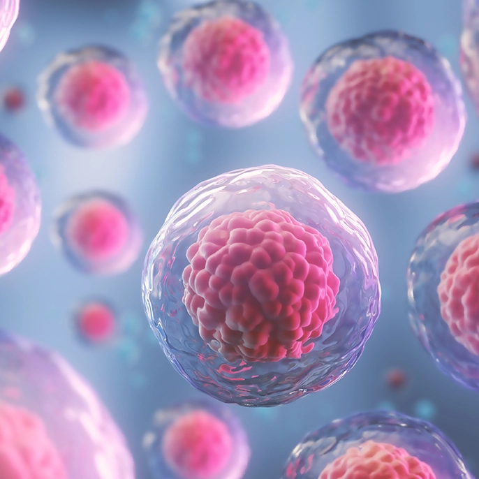Autologous regenerative cells